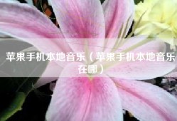 苹果手机本地音乐（苹果手机本地音乐在哪）