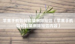 苹果手机如何批量删除短信（苹果手机如何批量删除短信内容）