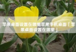 苹果桌面设置在哪里苹果手机桌面「苹果桌面设置在哪里」