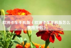 欧洲卡车手机版（欧洲卡车手机版怎么使用导航）