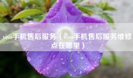 vivo手机售后服务（vivo手机售后服务维修点在哪里）