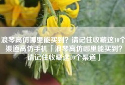 浪琴高仿哪里能买到？请记住收藏这10个渠道高仿手机「浪琴高仿哪里能买到？请记住收藏这10个渠道」