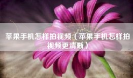 苹果手机怎样拍视频（苹果手机怎样拍视频更清晰）