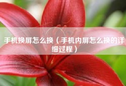 手机换屏怎么换（手机内屏怎么换的详细过程）