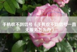 手机收不到信号（手机收不到信号一直无服务怎么办）