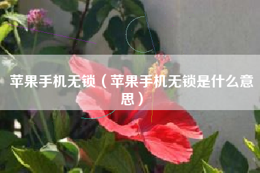 苹果手机无锁（苹果手机无锁是什么意思）