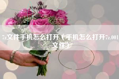 7z文件手机怎么打开（手机怎么打开7z.001文件）