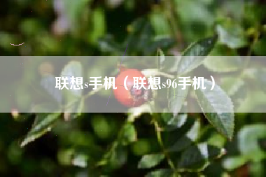 联想s手机（联想s96手机）